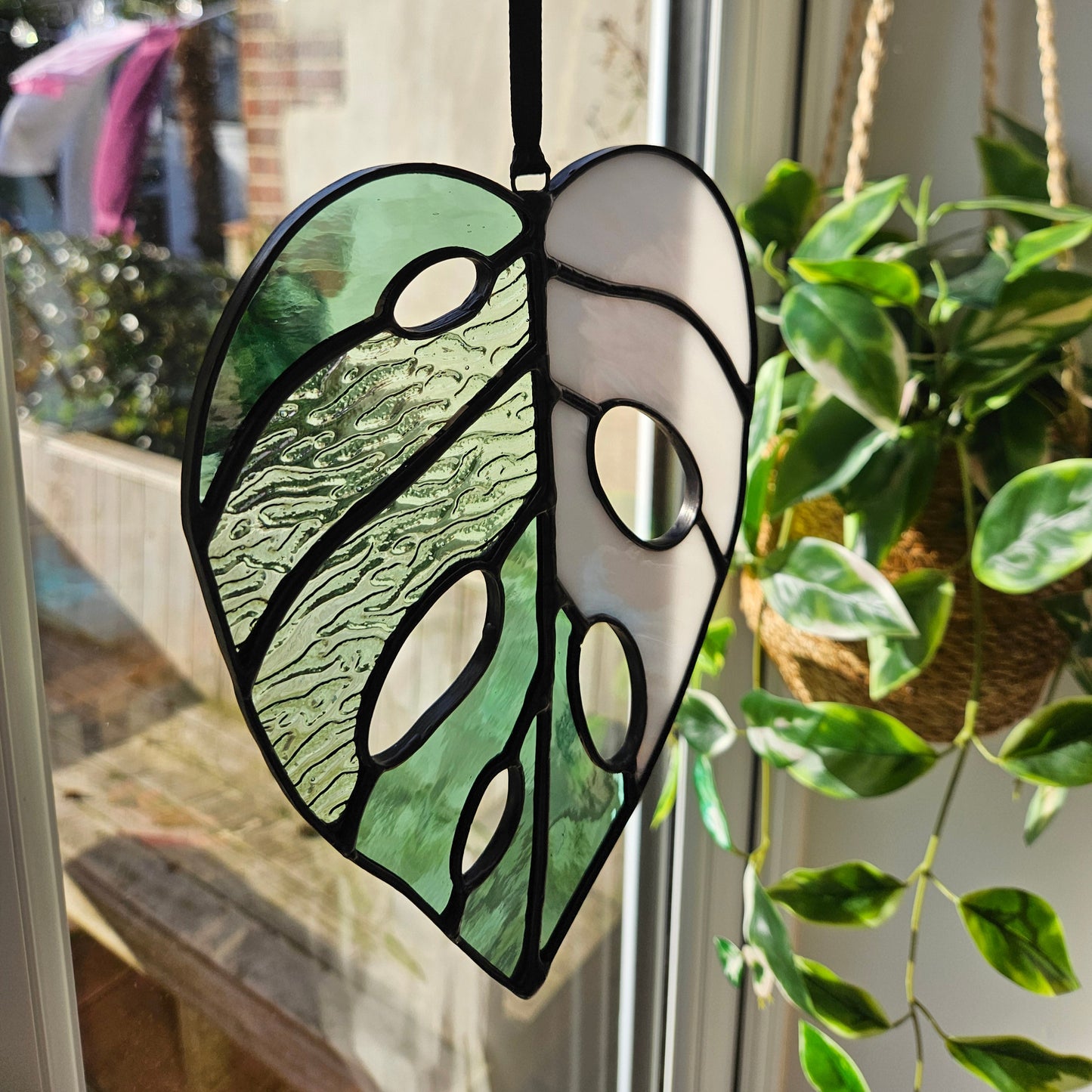 SECONDS Variegated Monstera Adansonii Leaf