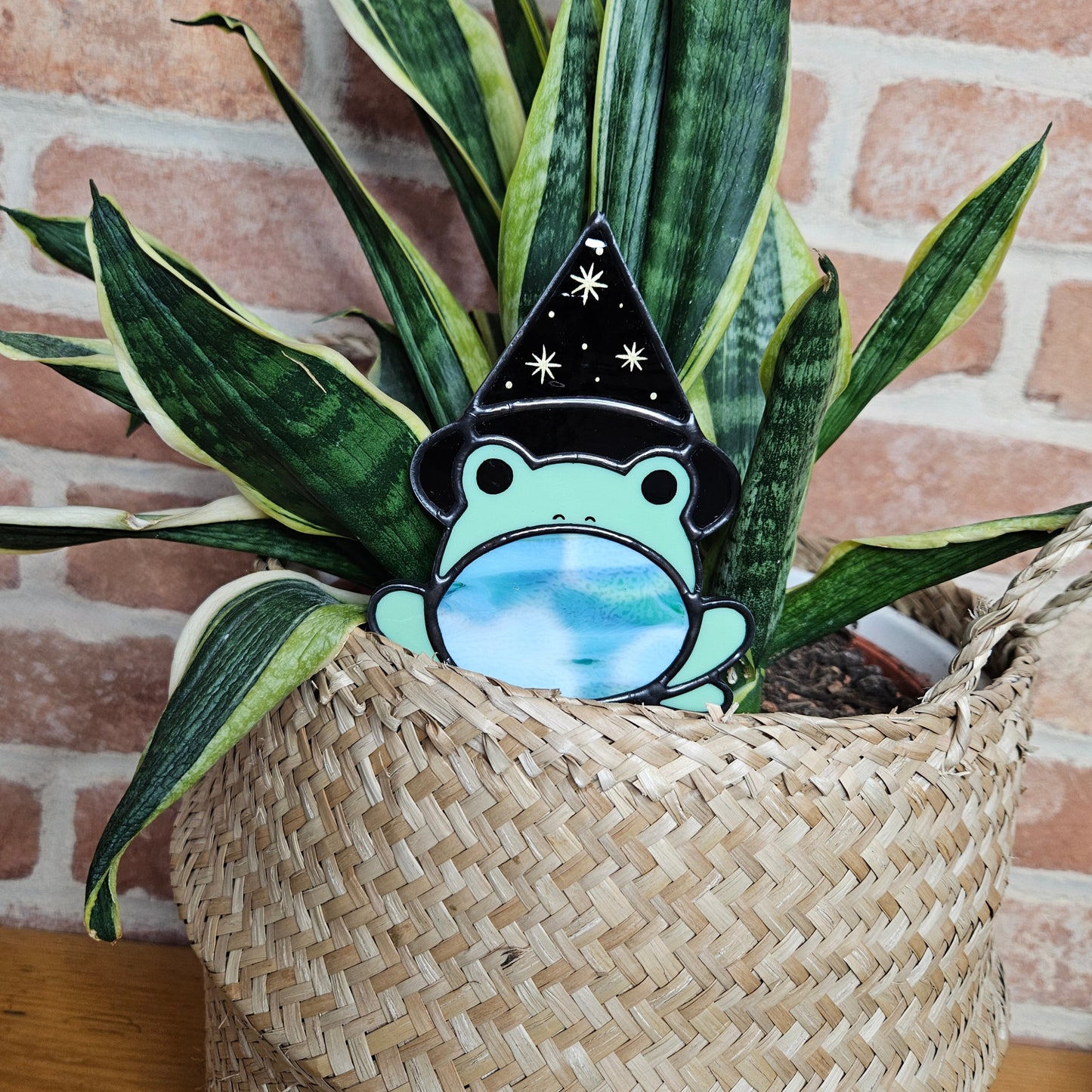 Witchy Frog Plantstake