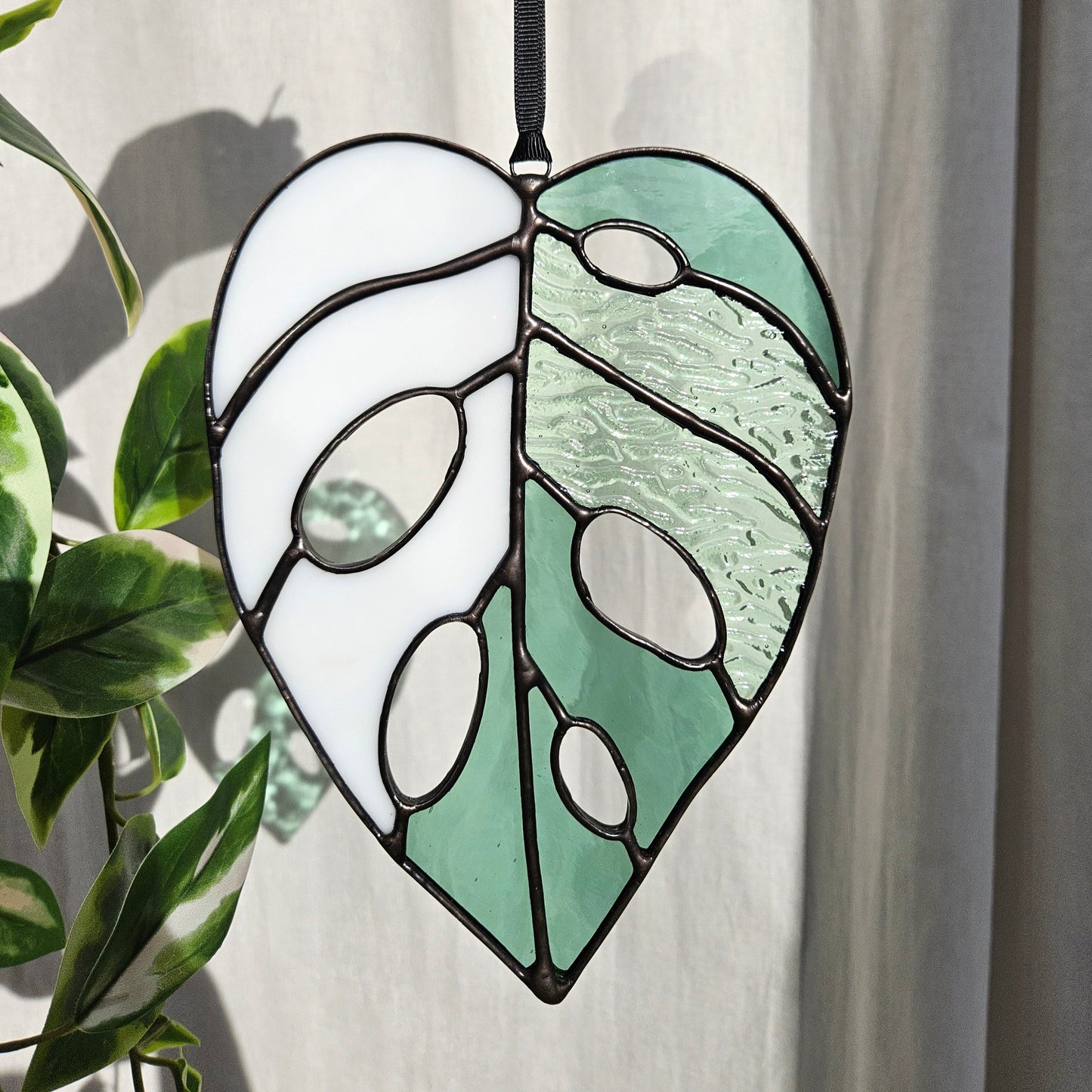 SECONDS Variegated Monstera Adansonii Leaf